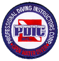 PDIC Logo